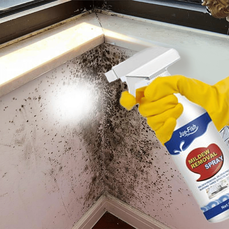 Rendkívül hatékony penészeltávolító spray - Megakadályozza a penészesedést🦠