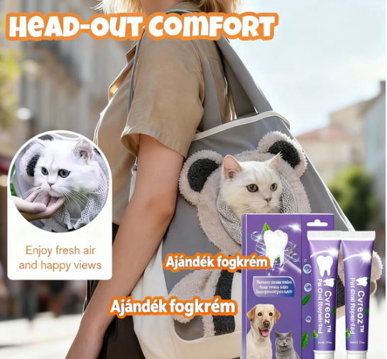 🐈💕 Aranyos mackós kisállathordozó 👜🐱