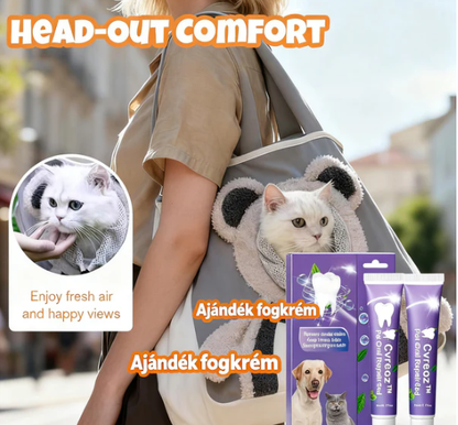 🐈💕 Aranyos mackós kisállathordozó 👜🐱