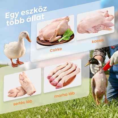 🔥🐓Elektromos baromfi tolltépő gép – Egyszerű tolltépés, idő- és energiamegtakarítás!🦆