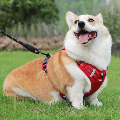 🔥🐶 Reflektív kutyahám állítható mellény nélkül, húzás nélkül 🚶‍♂️💕