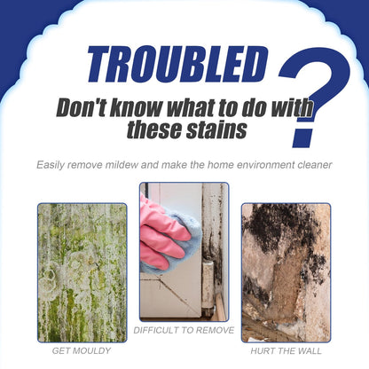 Rendkívül hatékony penészeltávolító spray - Megakadályozza a penészesedést🦠