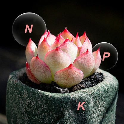 Univerzális, lassú felszívódású tabletta növényi műtrágya