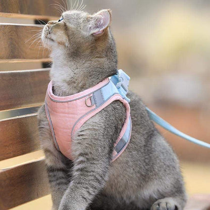 😺🐶Macska hám és póráz🐾