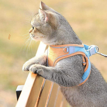 😺🐶Macska hám és póráz🐾