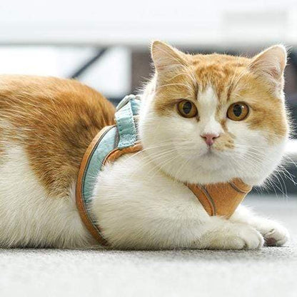 😺🐶Macska hám és póráz🐾
