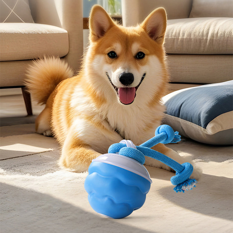 🐶Interaktív, nyugtató játék labda háziállatoknak