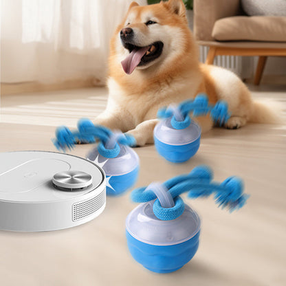 🐶Interaktív, nyugtató játék labda háziállatoknak