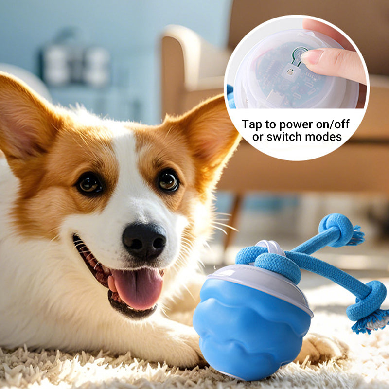 🐶Interaktív, nyugtató játék labda háziállatoknak